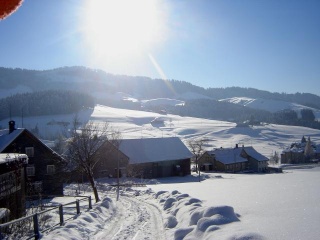 Schlitteln beim Haus.