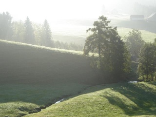 Stubensommerblick Ausblick aus der Stube