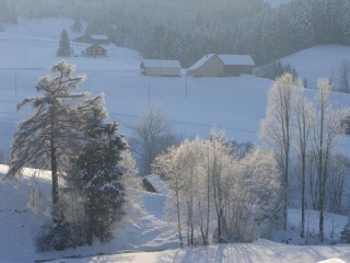 Stubenwinterblick